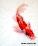 Koi Fish
