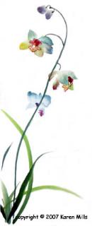 White Orchids